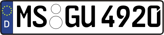 MS-GU4920