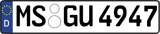 MS-GU4947