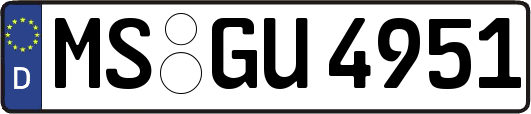 MS-GU4951