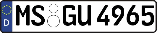 MS-GU4965