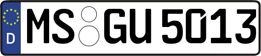 MS-GU5013