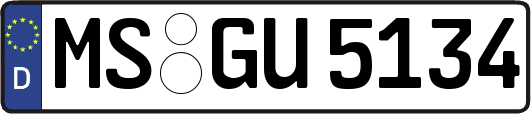 MS-GU5134