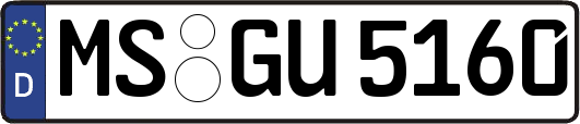 MS-GU5160