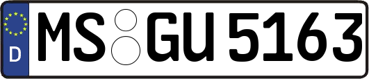 MS-GU5163