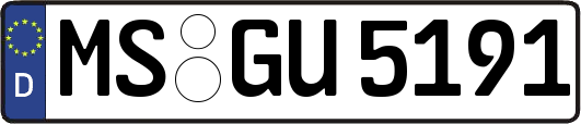MS-GU5191