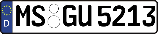 MS-GU5213
