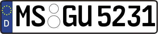 MS-GU5231