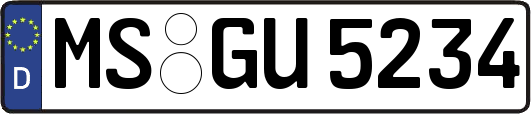 MS-GU5234
