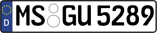 MS-GU5289