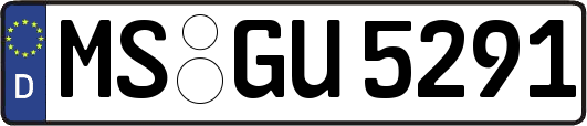MS-GU5291