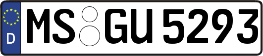 MS-GU5293