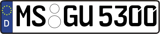 MS-GU5300