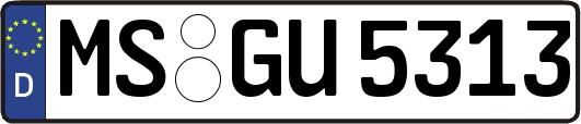 MS-GU5313