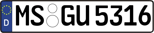 MS-GU5316