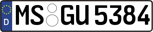 MS-GU5384