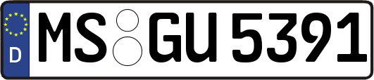 MS-GU5391