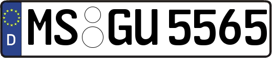 MS-GU5565