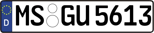 MS-GU5613