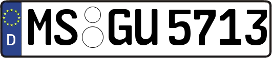 MS-GU5713