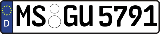 MS-GU5791