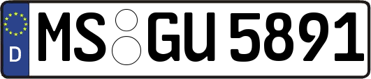 MS-GU5891