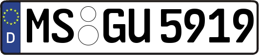 MS-GU5919