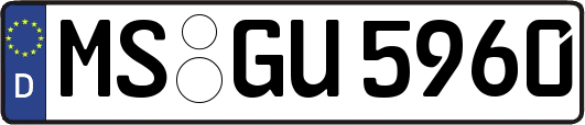 MS-GU5960