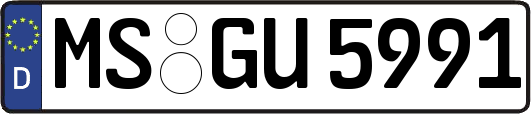 MS-GU5991
