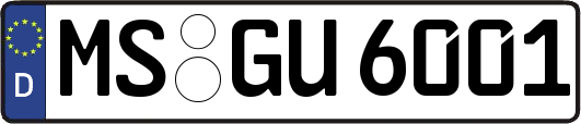 MS-GU6001