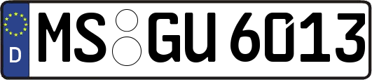 MS-GU6013