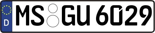 MS-GU6029
