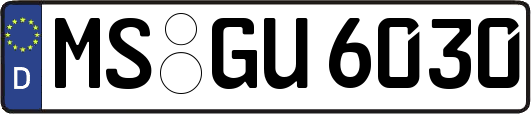 MS-GU6030