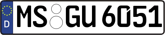 MS-GU6051