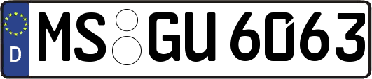 MS-GU6063