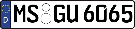 MS-GU6065