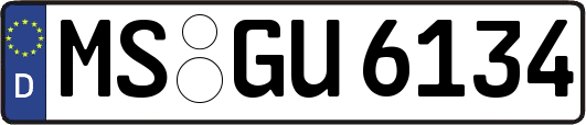 MS-GU6134