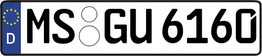 MS-GU6160