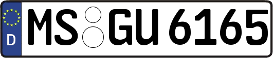 MS-GU6165