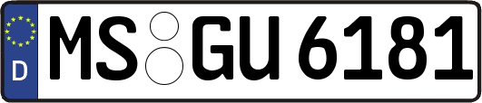 MS-GU6181