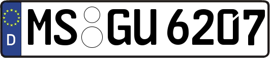 MS-GU6207