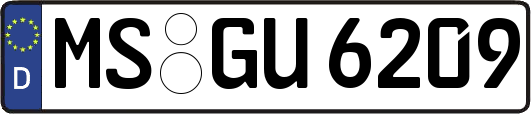 MS-GU6209