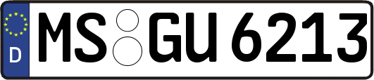 MS-GU6213