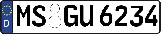 MS-GU6234