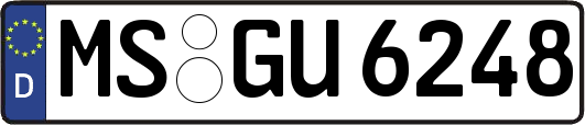 MS-GU6248