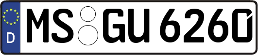 MS-GU6260