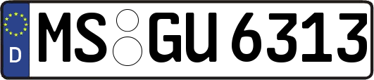 MS-GU6313