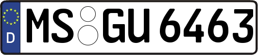 MS-GU6463