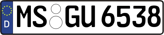 MS-GU6538