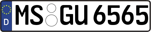 MS-GU6565
