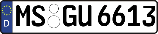 MS-GU6613